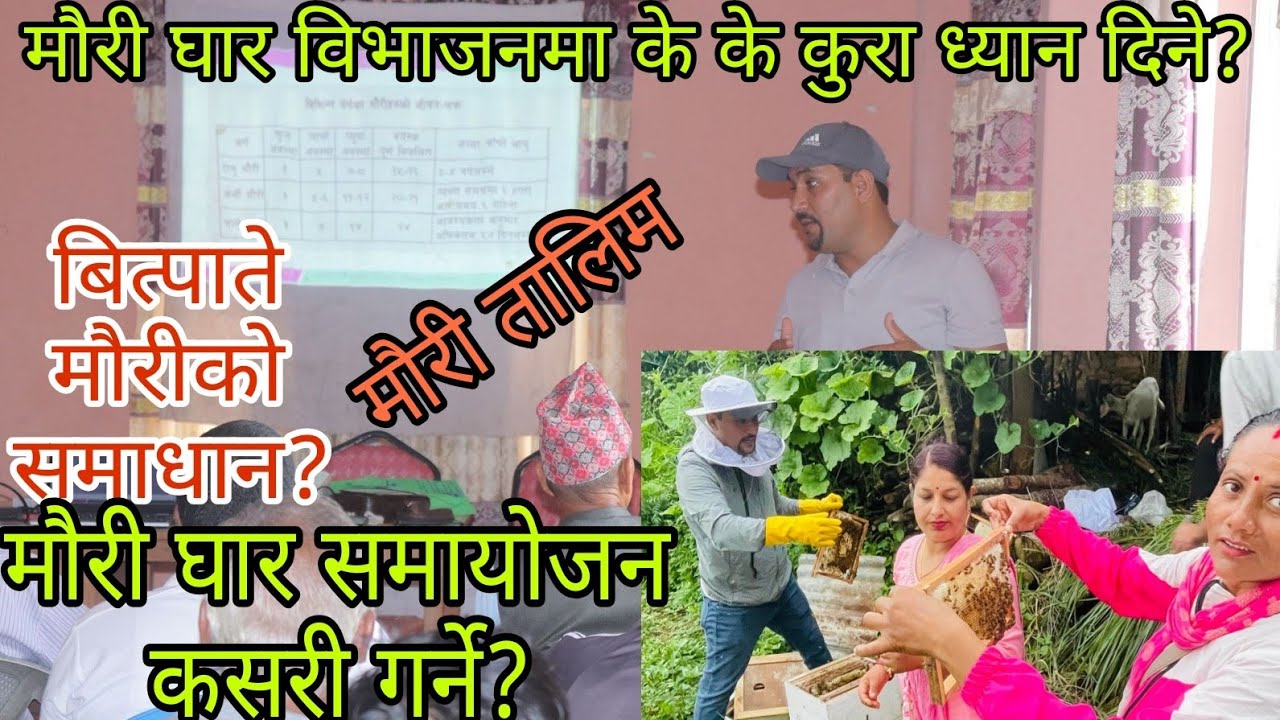 मौरीघाट विभाजन के के कुरामा ध्यान दिने#bee #farming #viralvideo MAURI PALAN IN NEPAL