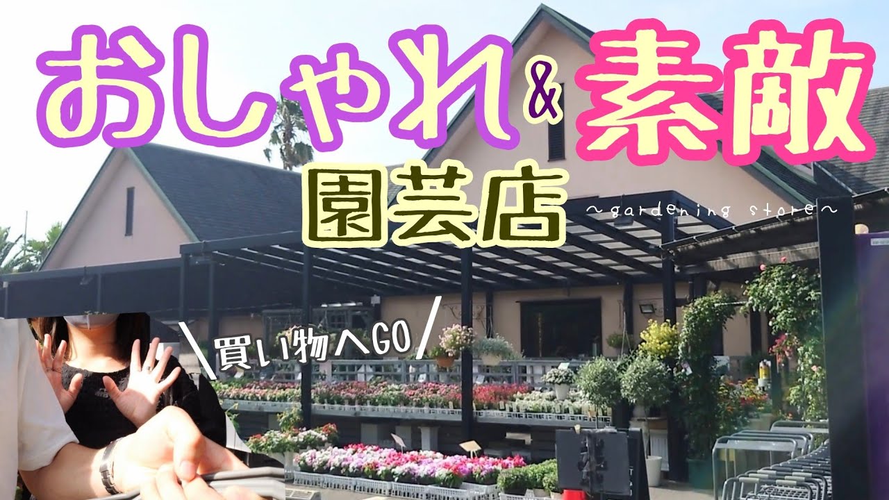 【園芸店】選びきれないほどの雑貨と鉢の多さにビックリ!!欲しかった植物を購入して寄植え作って大満足♪おしゃれで素敵な園芸店in福岡エフェクト