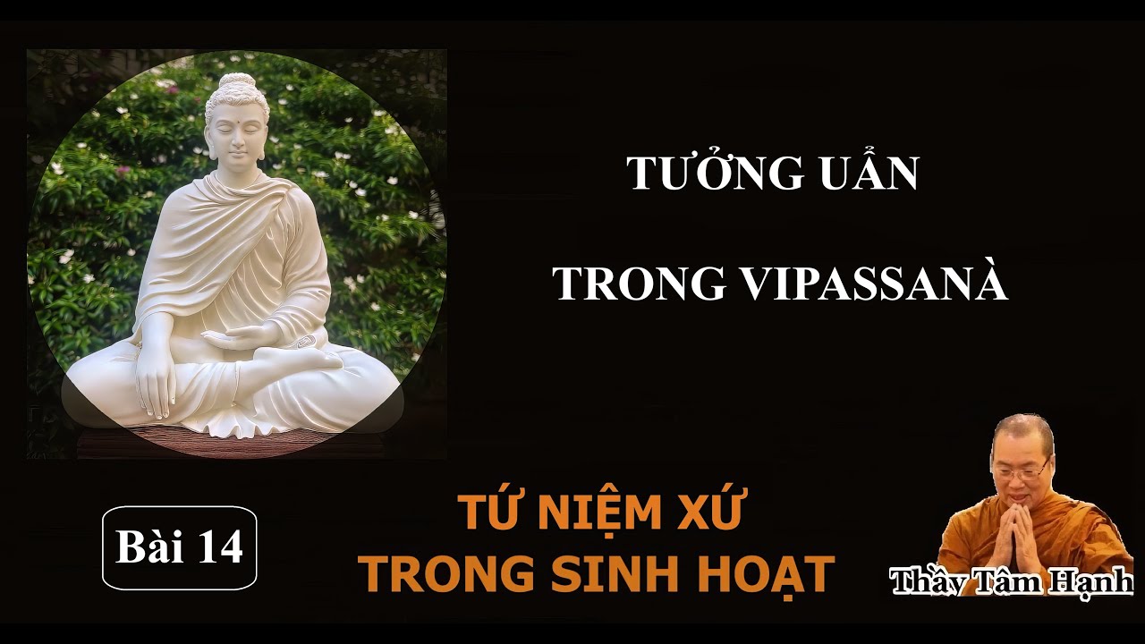Bài 14 - Tưởng uẩn trong Vipassanà (01/11/2025).