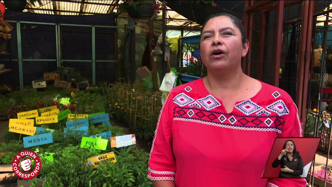 Hecho en México: Plantas de Xochimilco | A Quien Corresponda