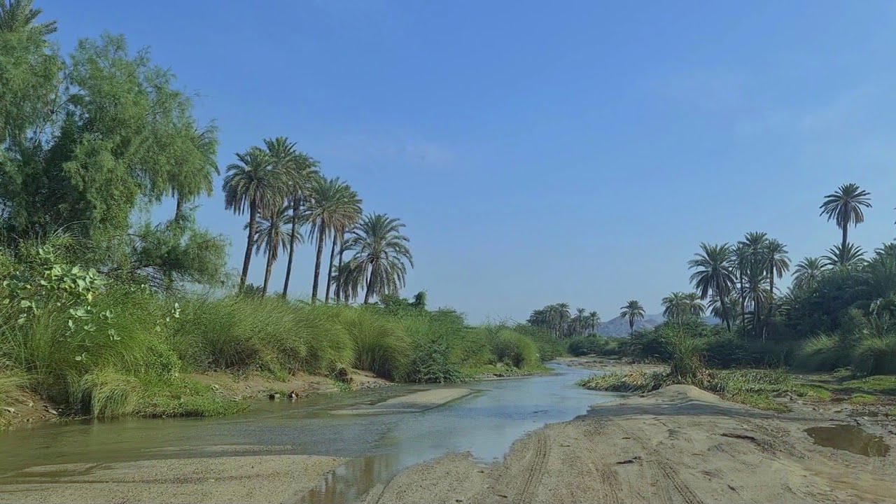 وادي قنونا(KSA )#036