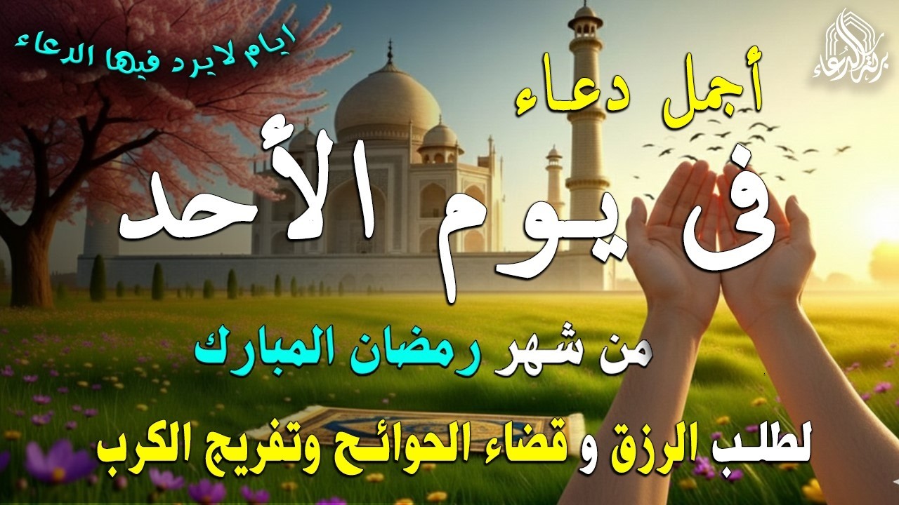 دعاء فى يوم الجمعة المستجاب دعاء في يوم 23 من شهر رمضان للرزق والشفاء العاجل وقضاء الحوائج 🤲(4k)