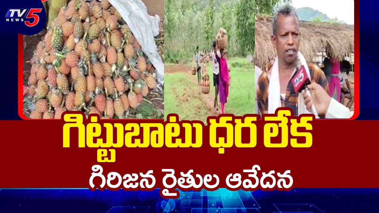 Tribal Farmers Not Getting Minimum Support Price For Crops In Seethampeta, Srikakulam | TV5 News