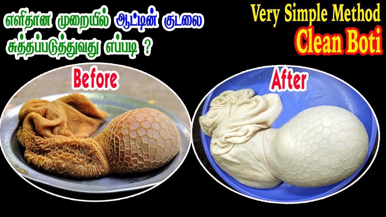 How to Clean Goat  Boti |ஆட்டு குடல் சுத்தம் செய்வது எப்படி / How to Clean Boti in tamil Easy method