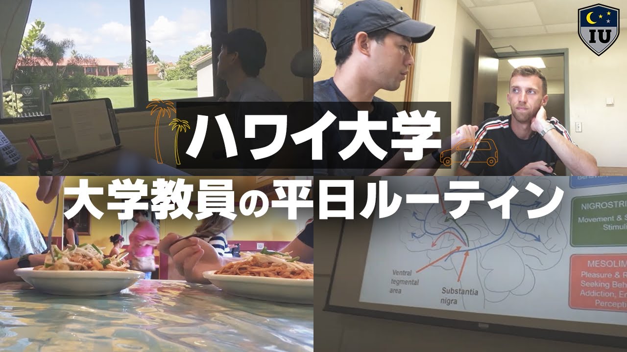「大学教員の1日」リアルな授業日ルーティン【Vlog】