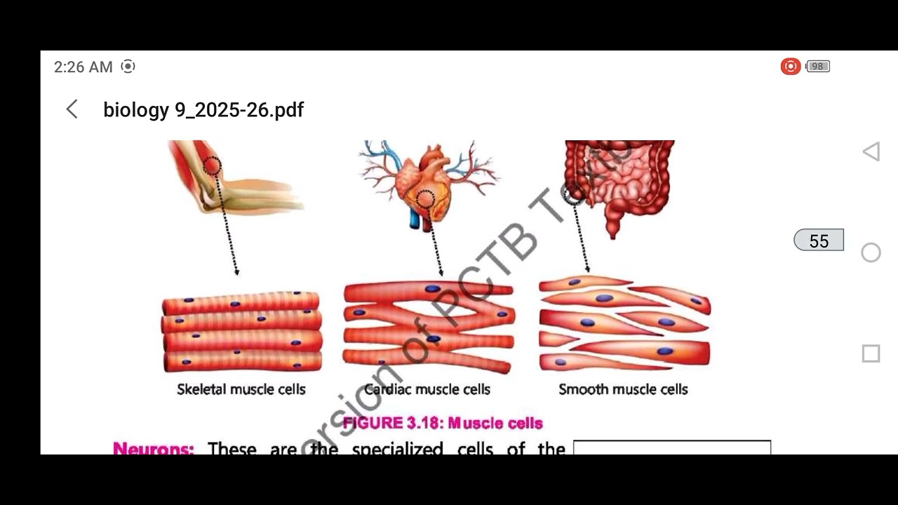 Biology Class 9 Chapter 3 The Cell Final half Explained 
