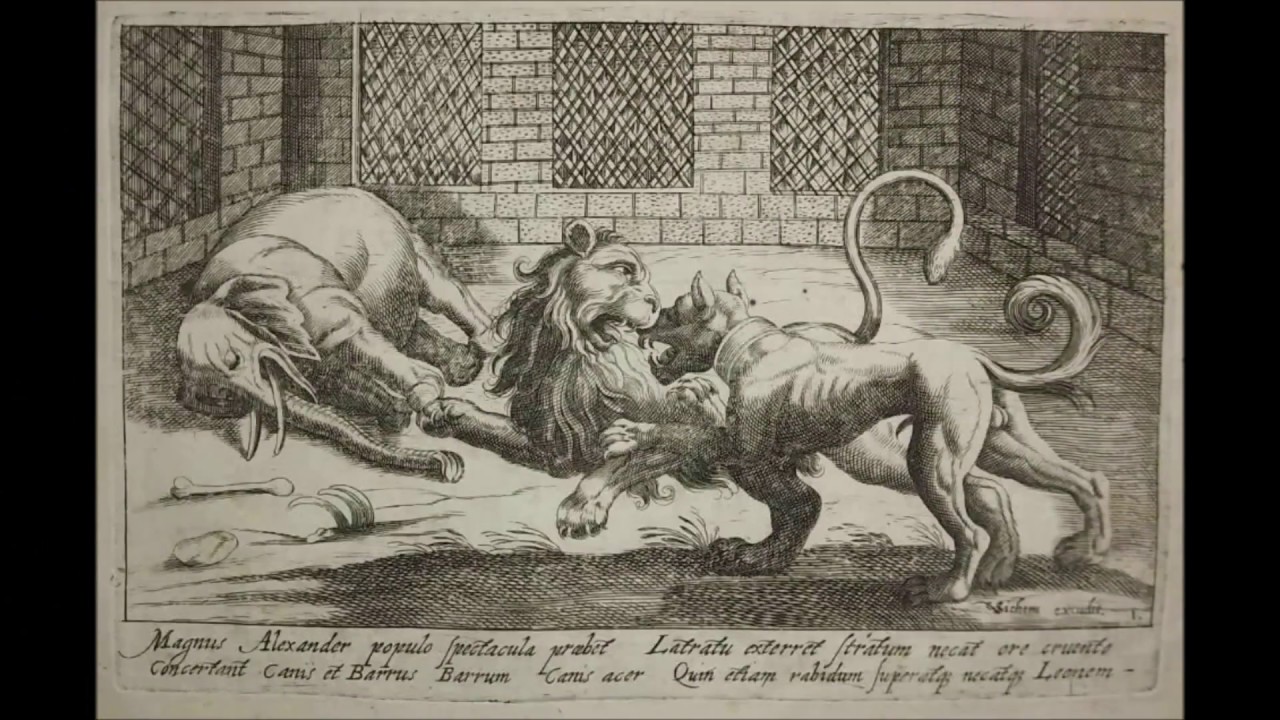 VENATIONES Antonio Tempesta / Christoffer van Sichem - Grabados de caza
