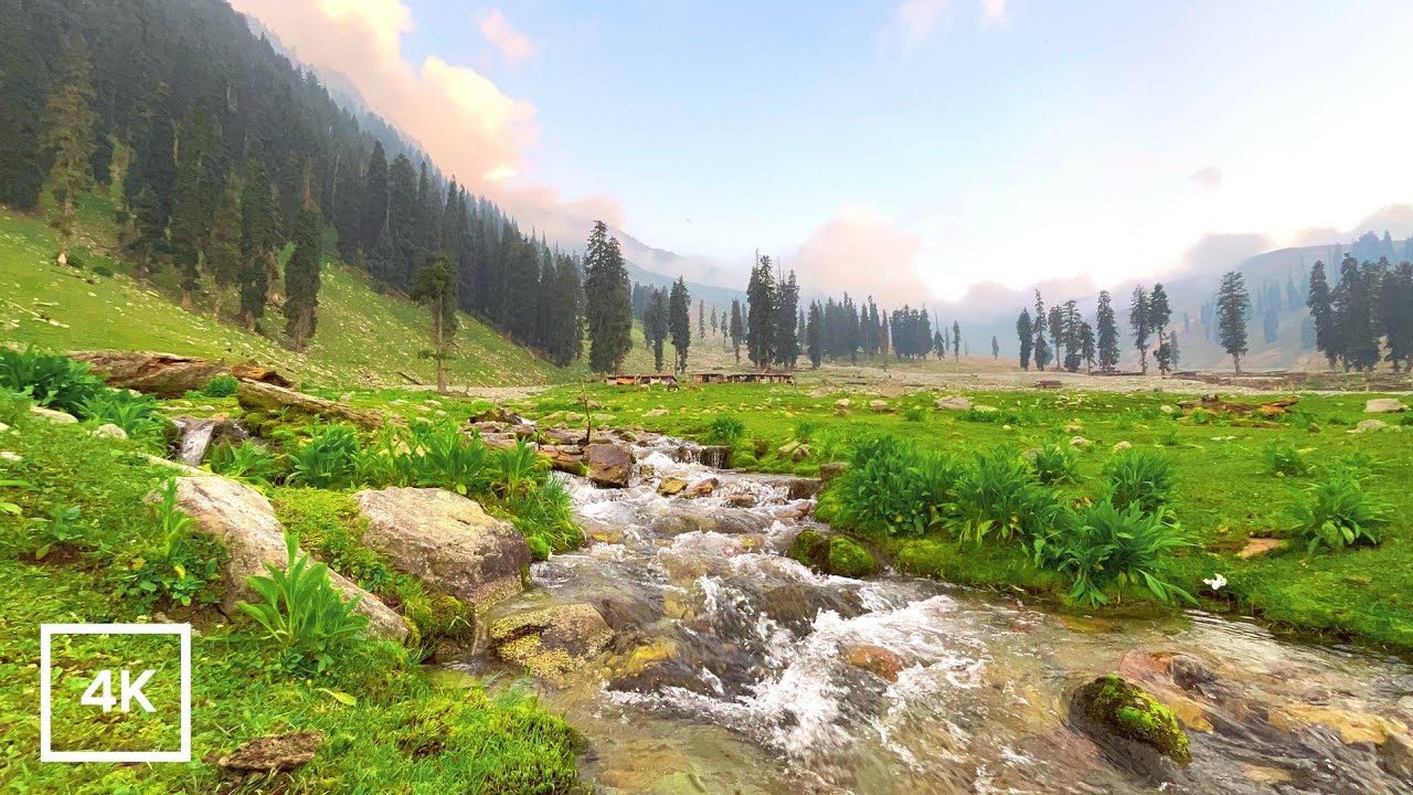 4K Crystal Clear Mountain Stream 🌿 Peaceful Nature Sounds for Deep Sleep, Relaxation & Stress Relief