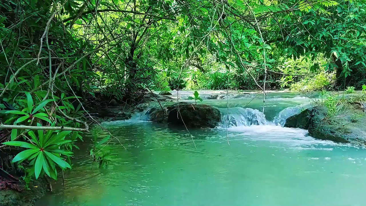 Waterfall Sounds for Sleeping with No Ads or Interruptions