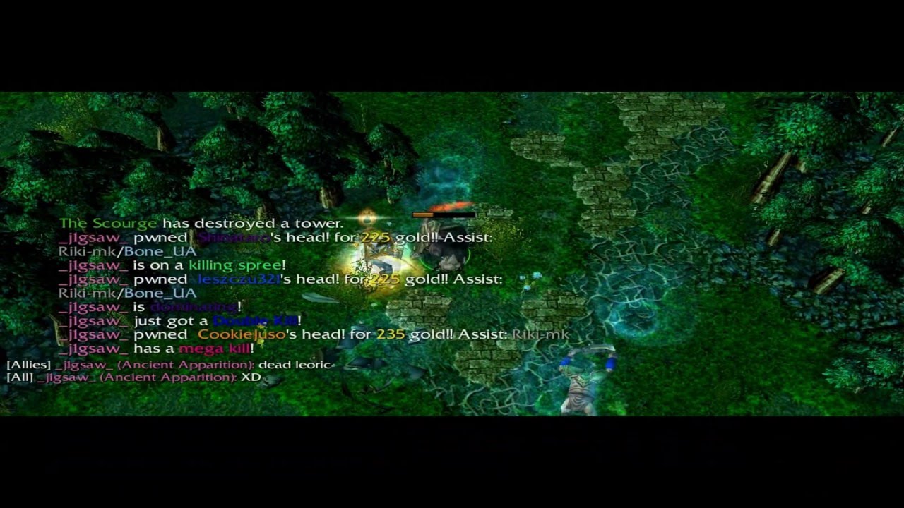 I Play Dota