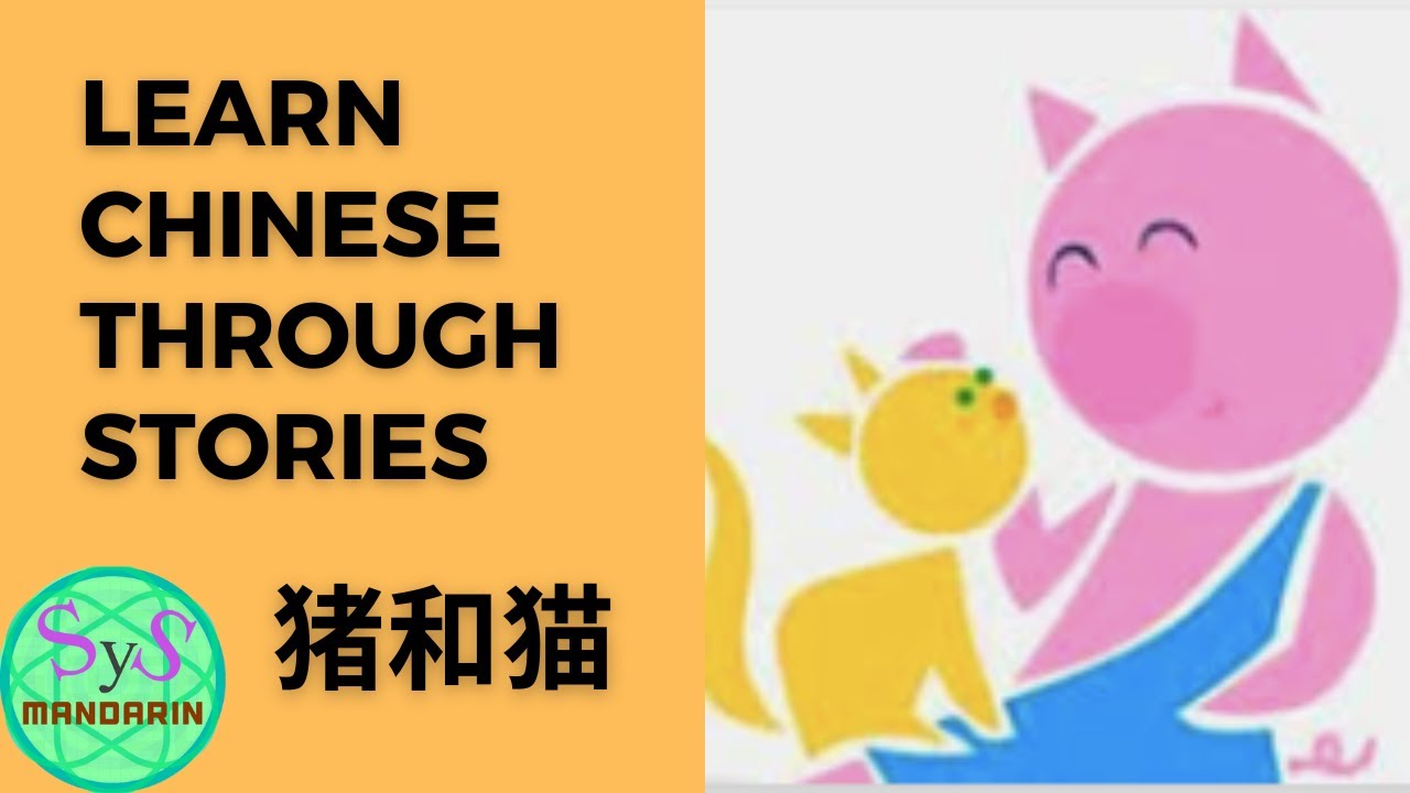307 Learn Chinese Through Story《猪和猫》Pig And Cat