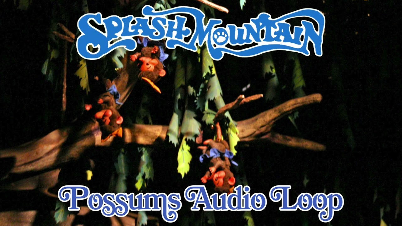 Splash Mountain - Possums Audio Loop (How Do You Do)
