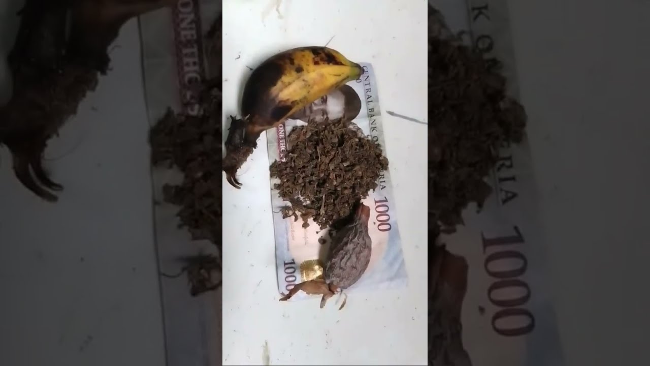 🔥EYONU OWO GIDI🔥) 🔥(OR MONEY ATTRACTION  🔥) NINU OGUN AYE TV 🔥 is going live!