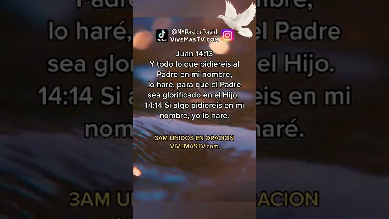 🕊 Juan 14:13