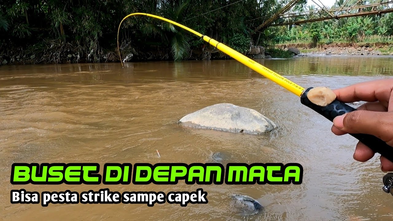 Tadinya tidak yakin mancing di sini || Ternyata pesta strike (micro fishing)