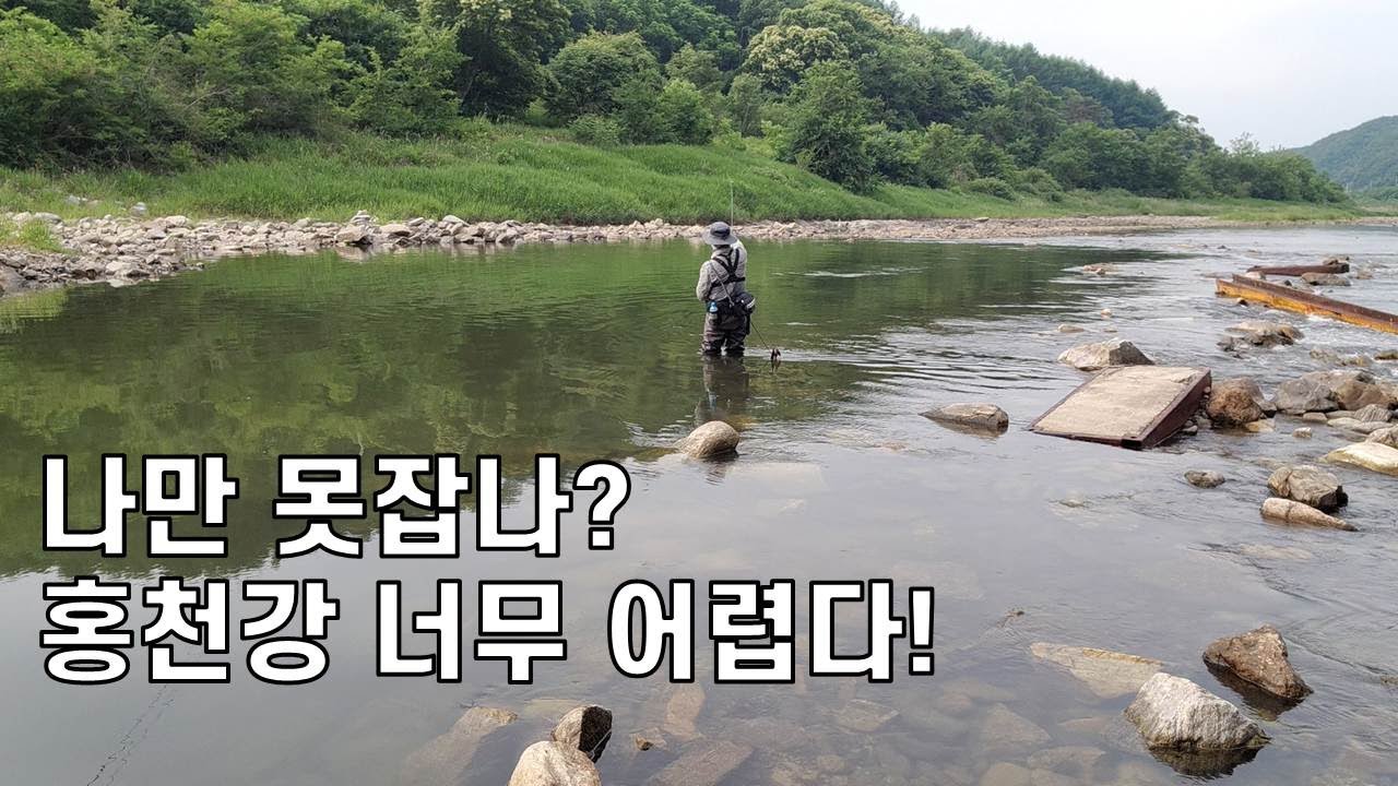 홍천강 모곡, 굴지리....어렵다!