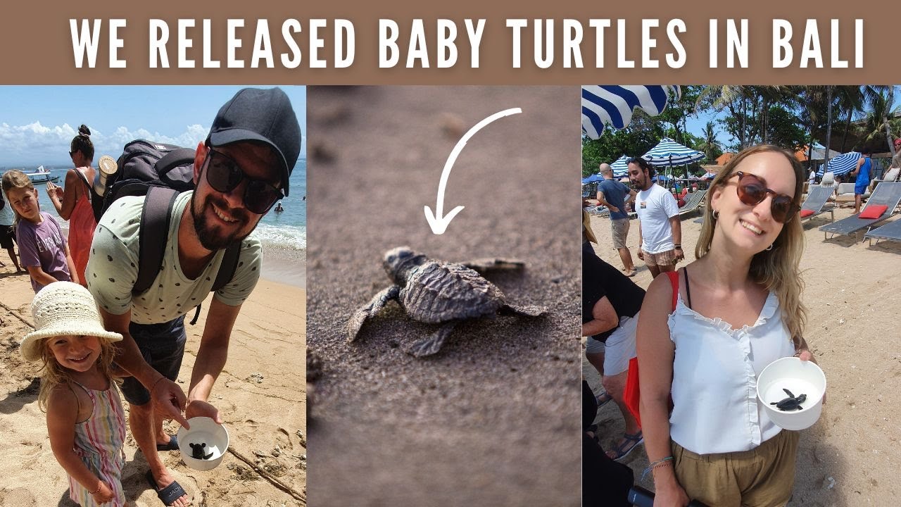 A Day in Sanur | Baby Turtle Release In Bali