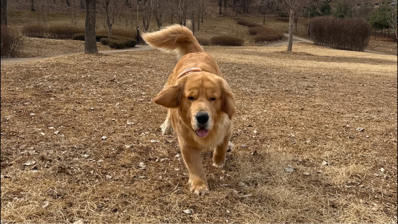 ㅋㅋㅋㅋ몸이 쑤시지??🥊