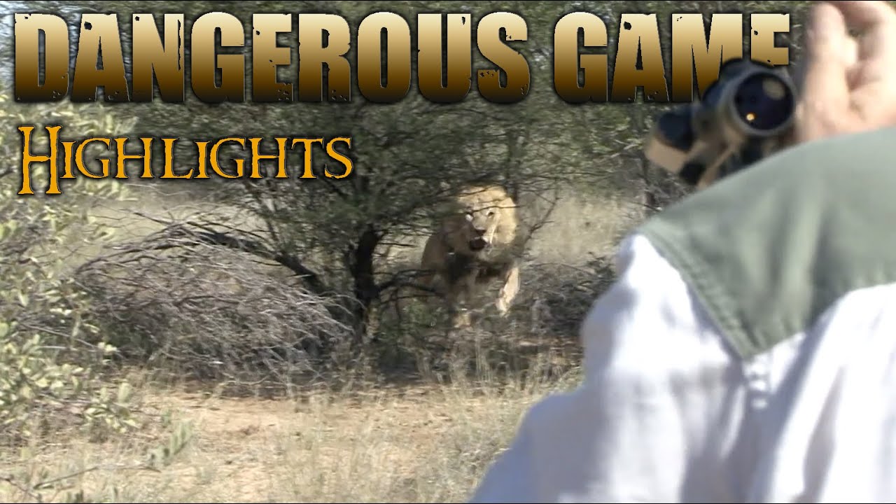 LION ATTACK&hellip; 3 Cape Buffalo, 3 Lion Hunting Highlight Video