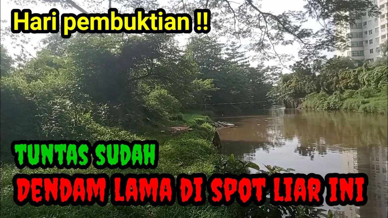 Gak di sangka‼️sambarannya hari ini luar biasa#mancingliar#strike#umpanjitu@jaddahmancing