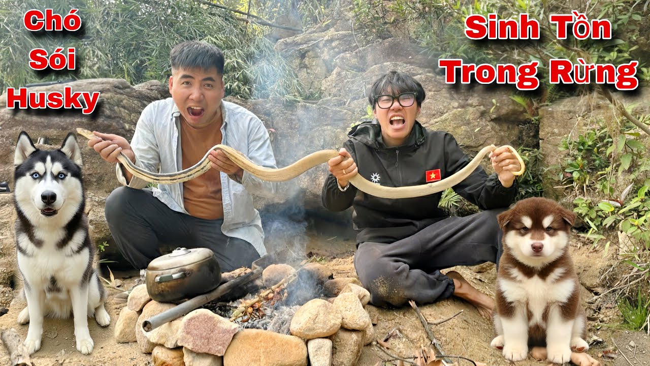Thử Thách Sinh Tồn Trong Rừng Cùng Chó Sói Husky Ngáo Và Gấu Alaska | Quá Đẳng Cấp | Dương KC