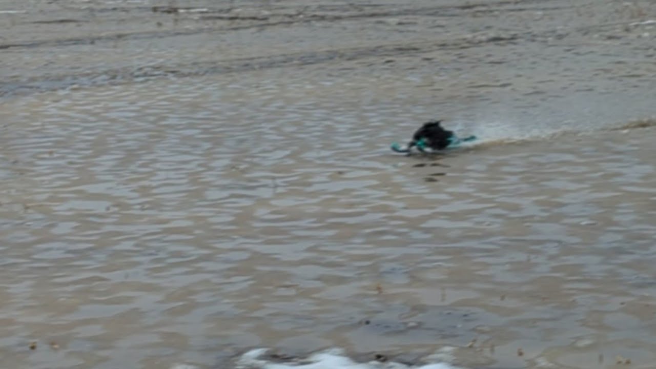 alpha-6 rc snowmobile deep water skipping