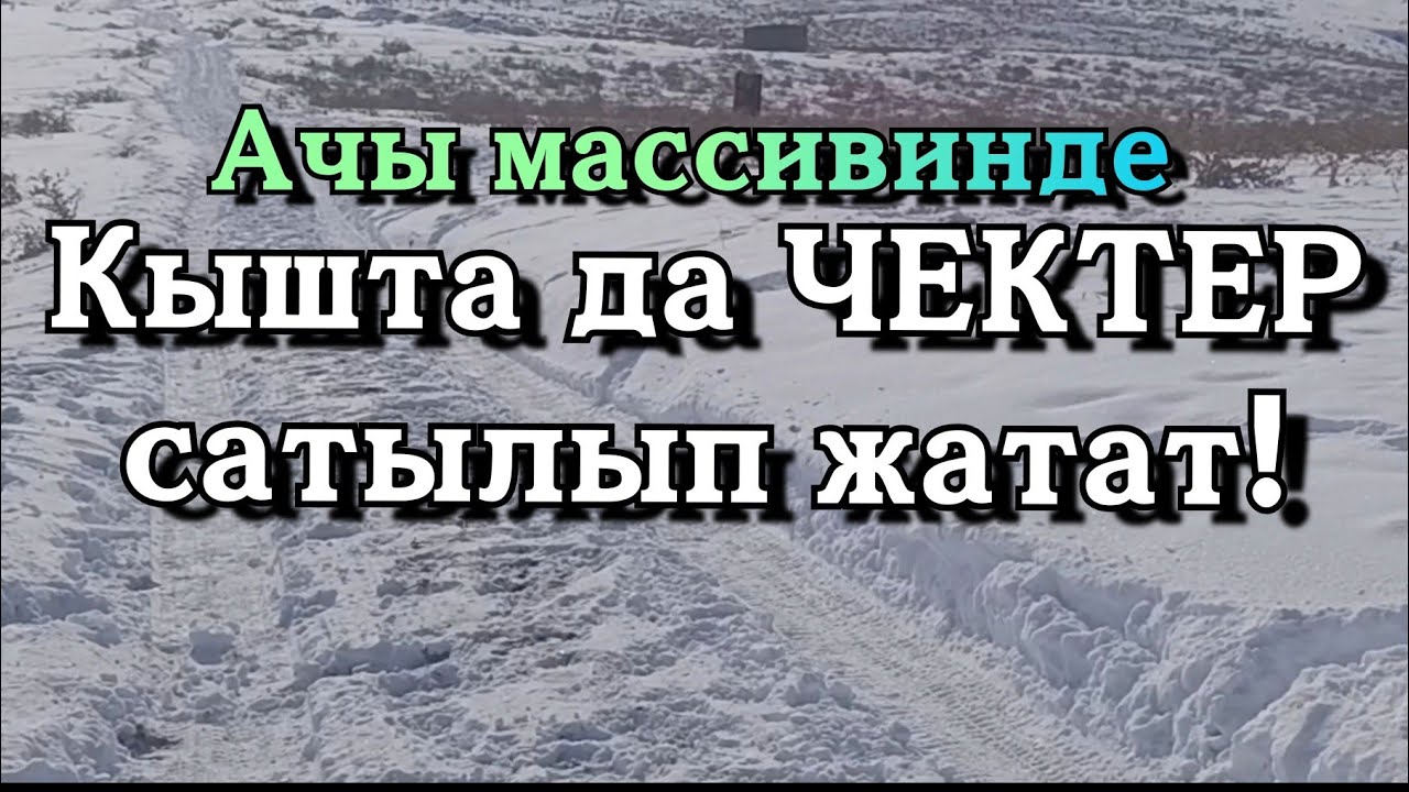 АЧЫДА ЧЕКТЕР БАР! САТЫЛАТ!