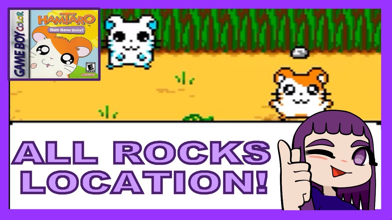 All rocks location in Hamtaro: Ham-Hams Unite!