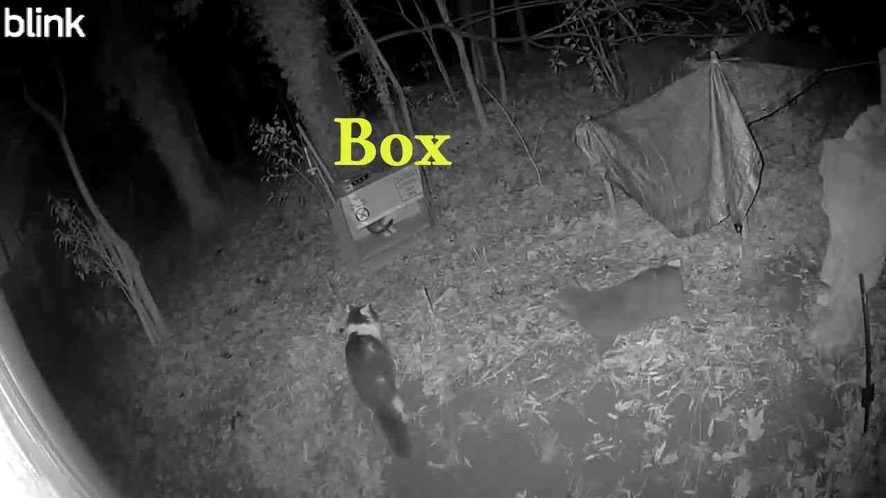 I am fixing up the wildlife shelter on my property￼. 