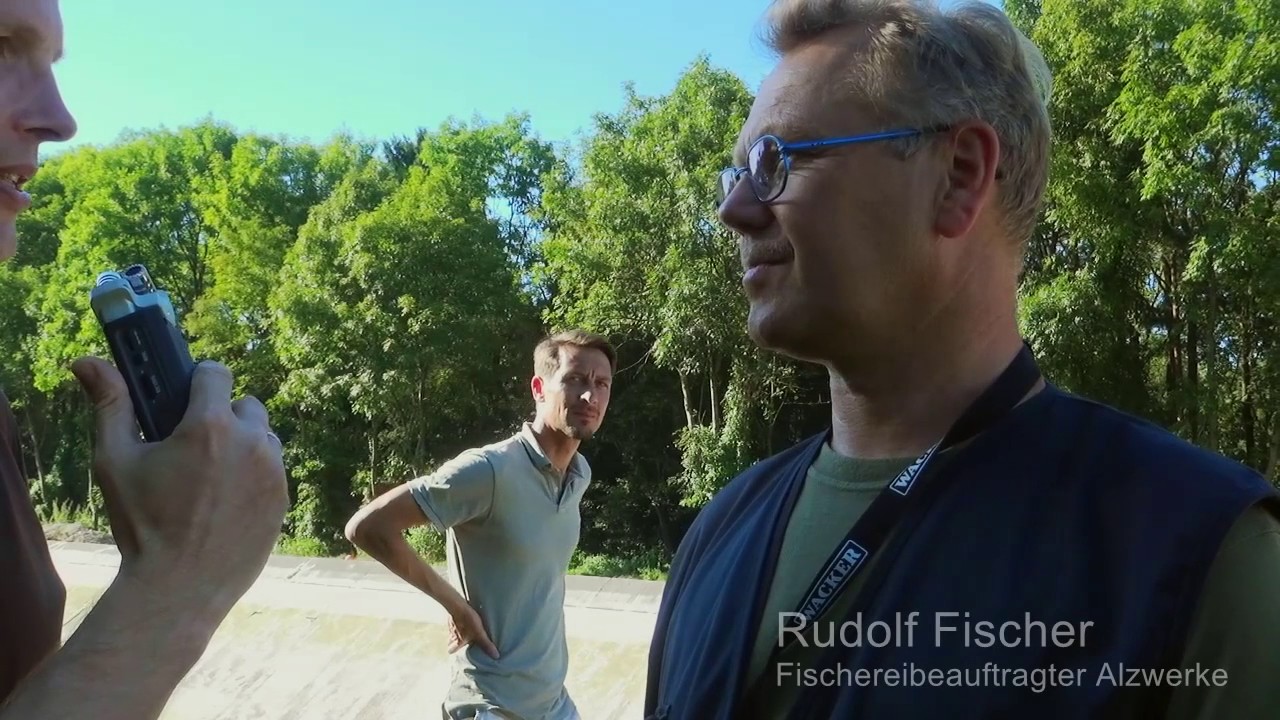 Abfischen Alzkanal 2016