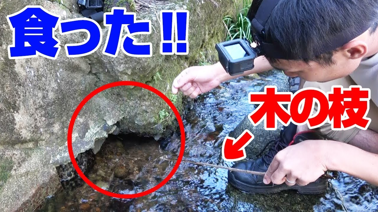 【仰天】穴の中に棒突っ込んだらとんでもないのが出て来た‼