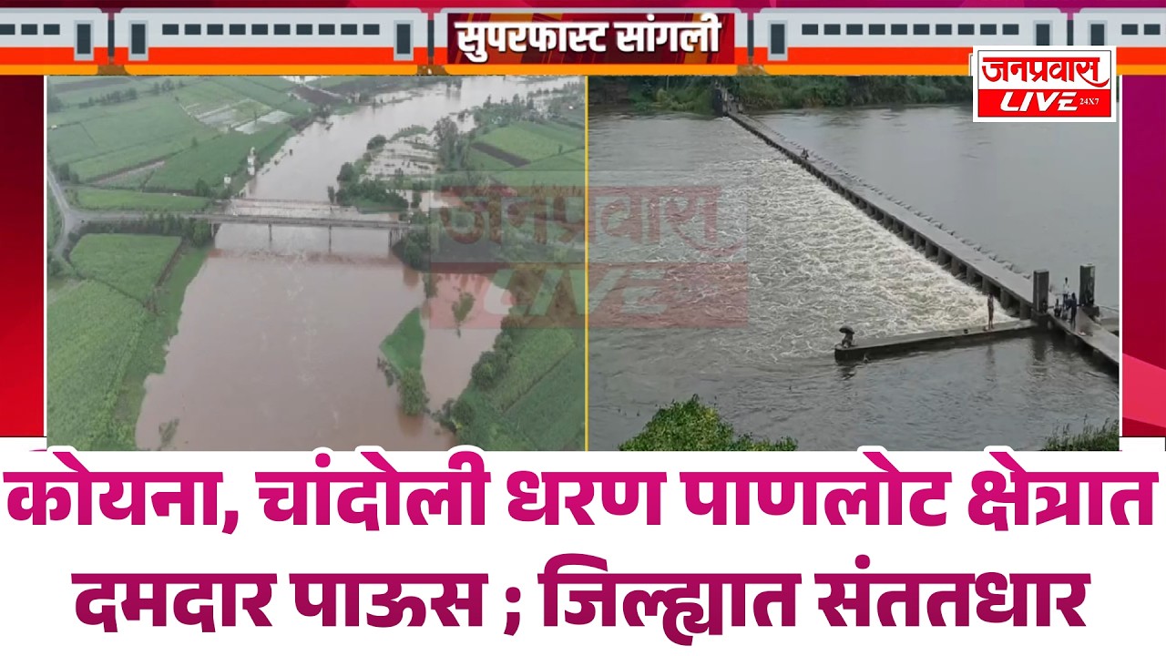 SANGLI BREAKING कोयना,चांदोली धरण पाणलोट क्षेत्रात दमदार पाऊस ; जिल्ह्यात संततधार SANGLI RAIN UPDATE