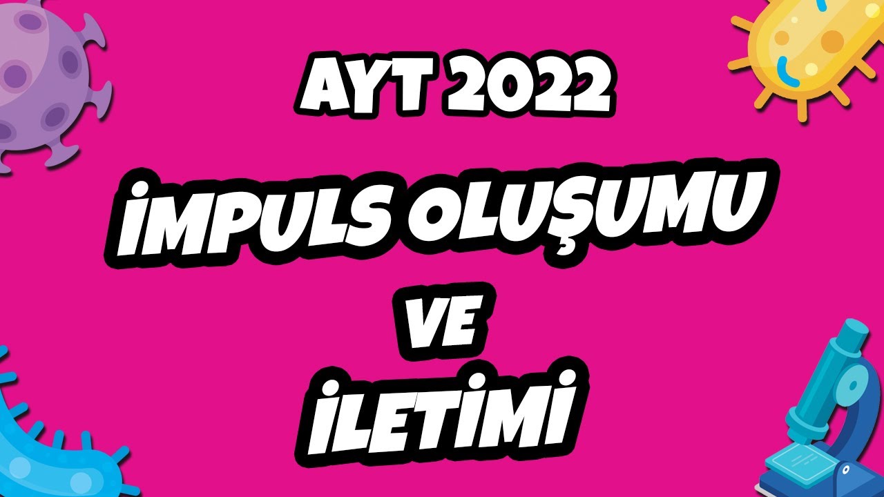 İmpuls Oluşumu ve İletimi | AYT Biyoloji 2022 #hedefekoş