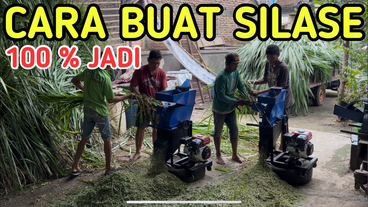 CARA MUDAH BUAT SILASE 100% PASTI JADI