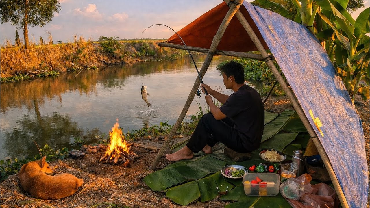 Set up the tent camping by the river | Catch & cook