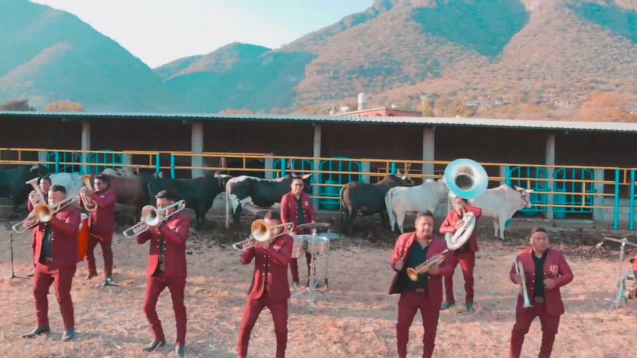 Popurrí de Sones / La Próxima Banda Oficial