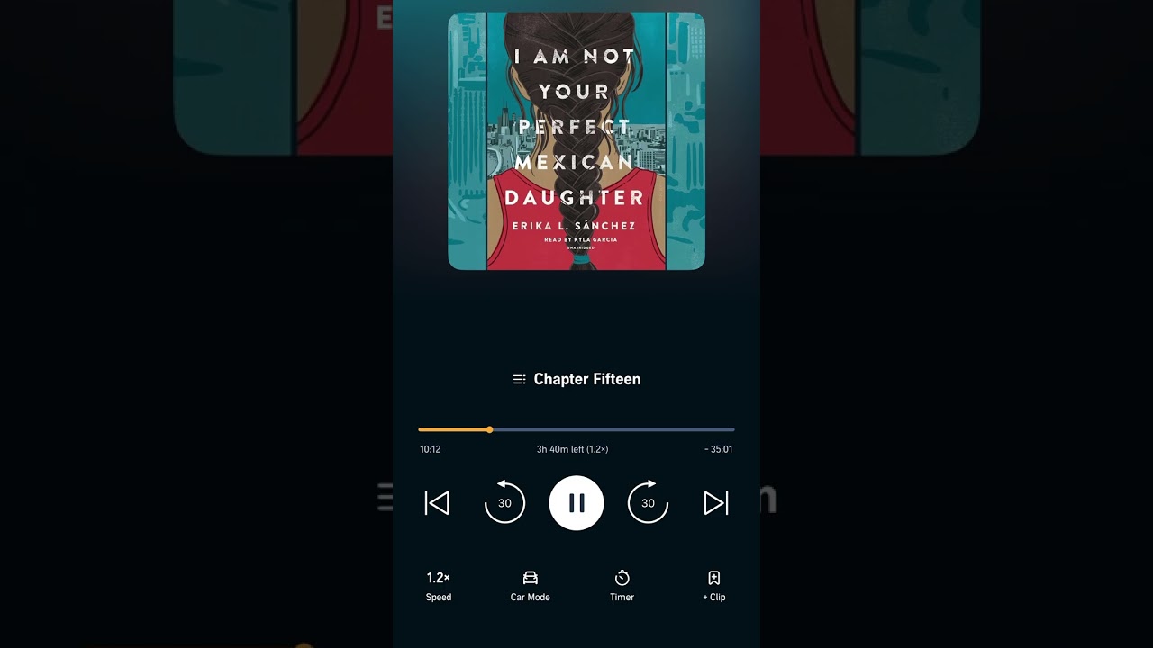Ch 15 I am not your perfect Mexican daughter 