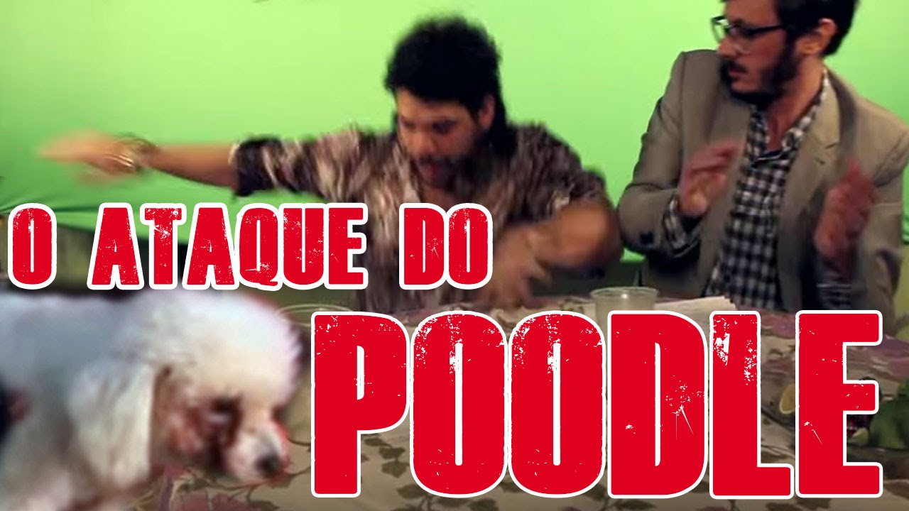 FALHA DE COBERTURA #37: O Ataque do Poodle