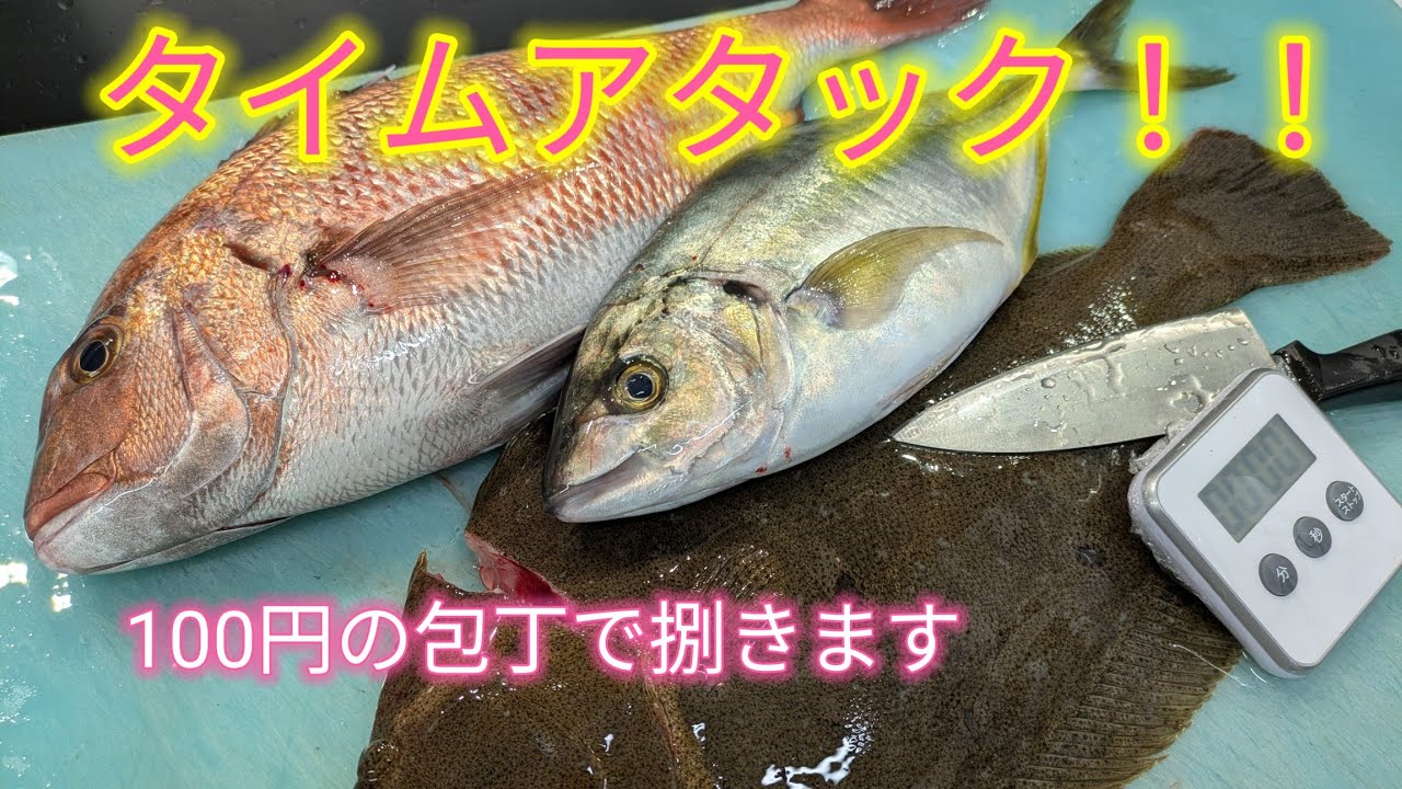 [魚の捌き方]タイムアタック！シマアジ、鯛、平目！