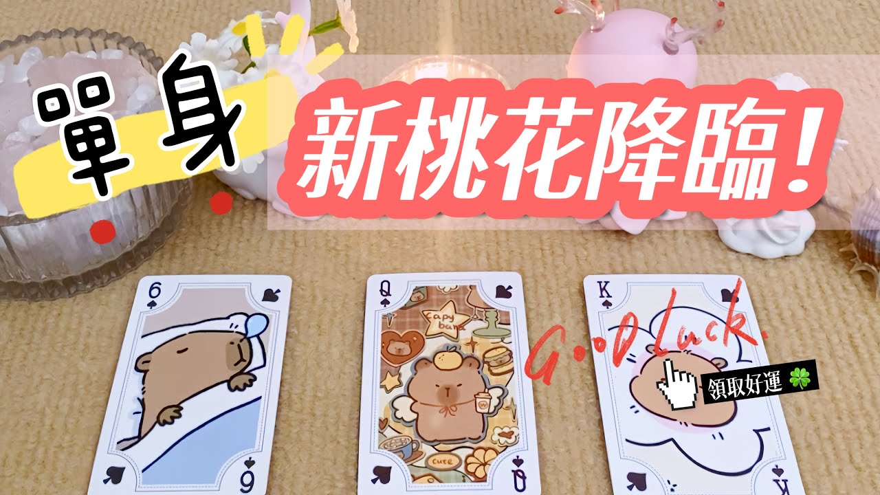 🌸新桃花降臨！是誰？2026年第一朵桃花有多甜？愛情占卜🌈超級桃花運來了💖✨#占卜#愛情#塔羅牌#運勢#感情#塔羅占卜#諮詢#tarotreading