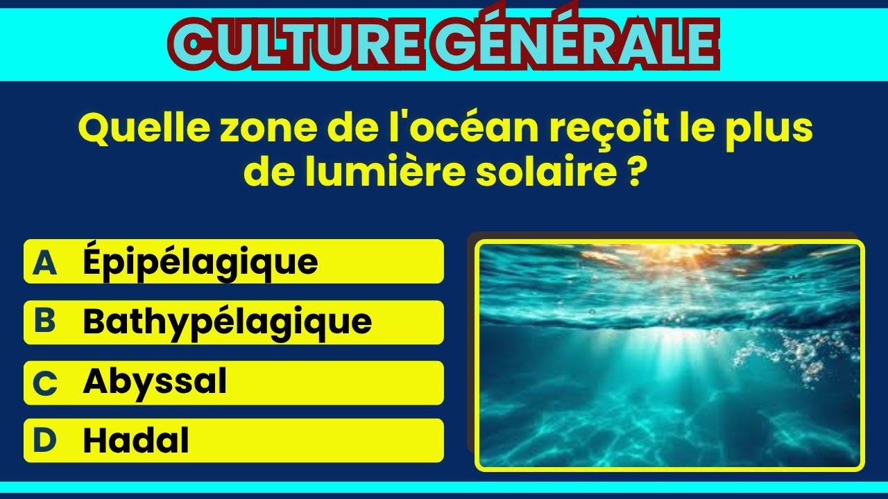 10 questions pour tester vos connaissances 🎓🔍🧐 | Quiz de Culture Générale