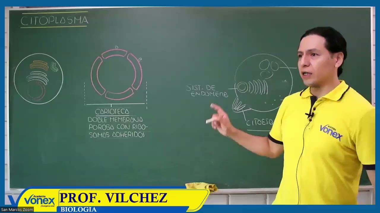 SEMANA 05 - BIOLOGÍA - CÉLULA EUCARIOTA - CITOPLASMA  PARTE 1