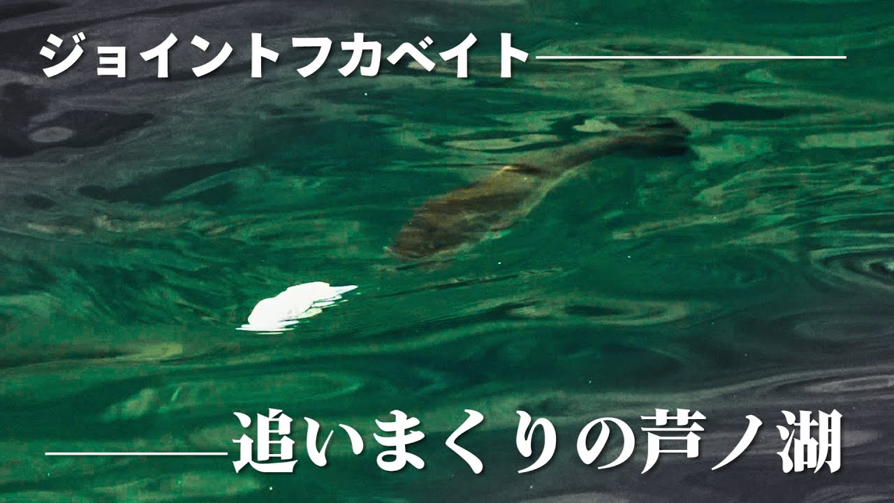 【田辺哲男】追いまくりの芦ノ湖  フカベイトで突破！？