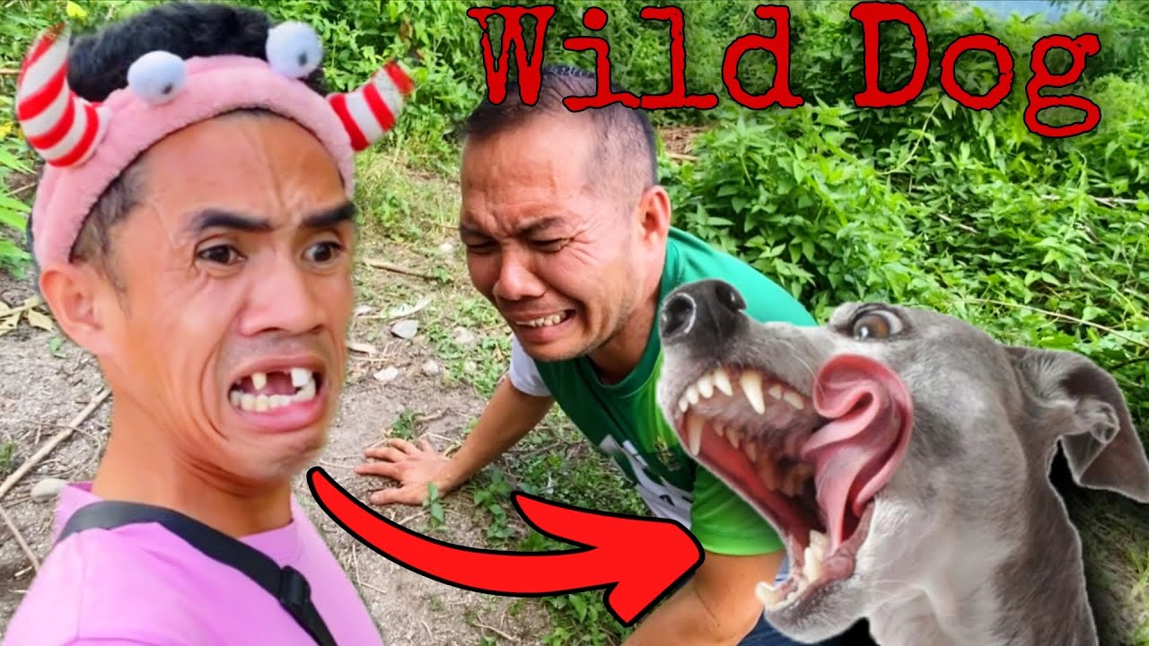 Wild Dog | Nakabuhi