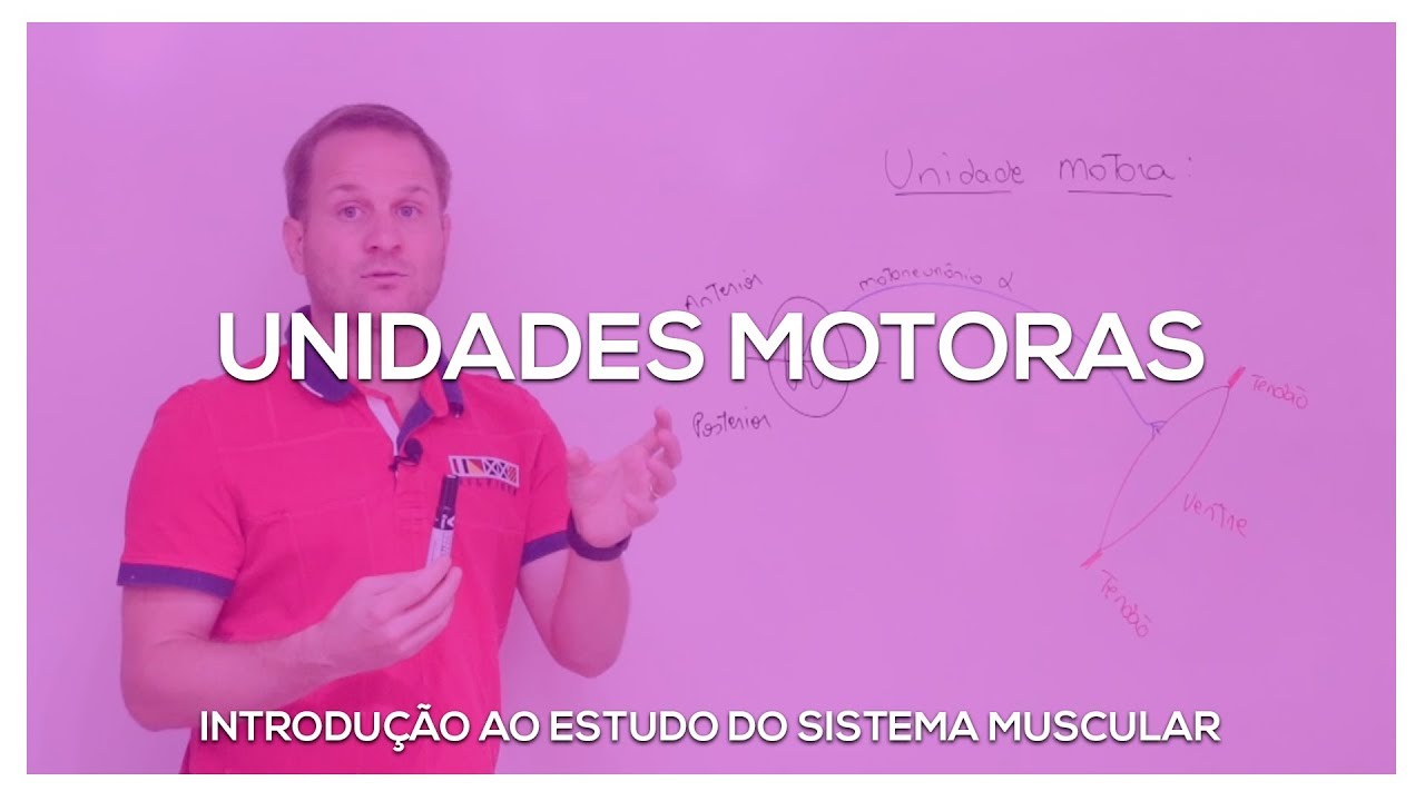 Unidades Motoras