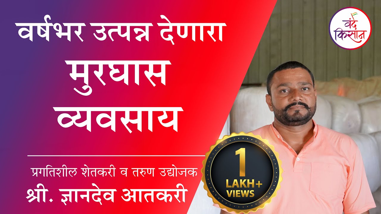वर्षभर उत्पन्न देणारा मुरघास व्यवसाय | श्री. ज्ञानदेव आतकारी उद्योजक व प्रगतिशील शेतकरी | वंदे किसान