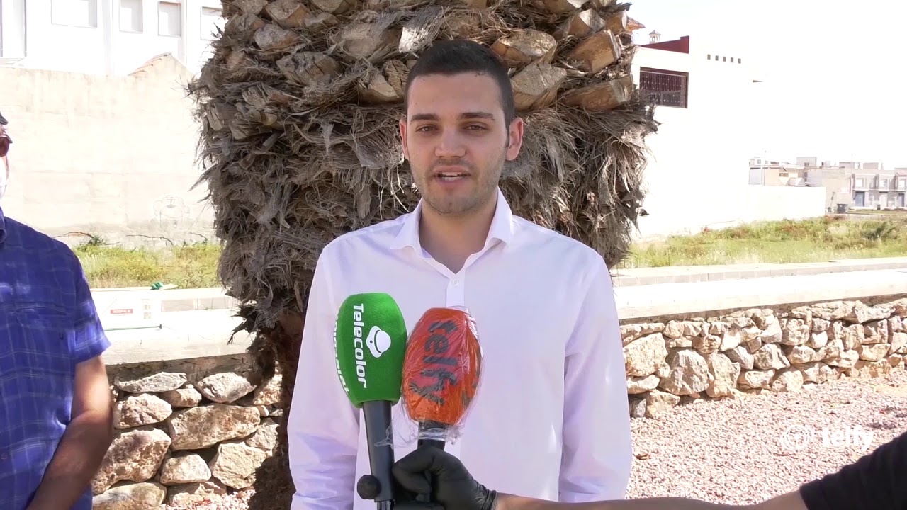 Nuevo tratamiento para acabar con la plaga del picudo rojo