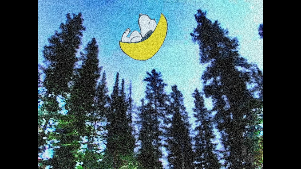 ✦ free sad indie type beat 
