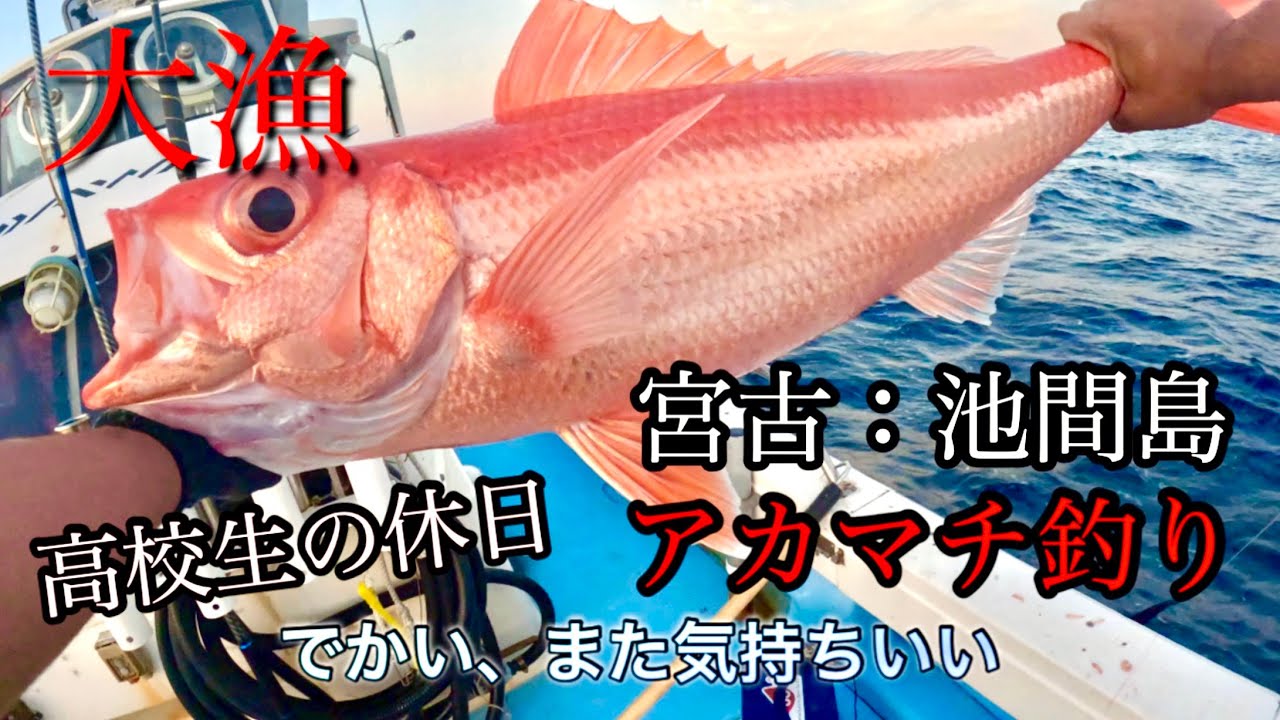 【アカマチ釣り】初の大物⁉️新魚種⁇   夕方のアカマチ釣りの様子‼️