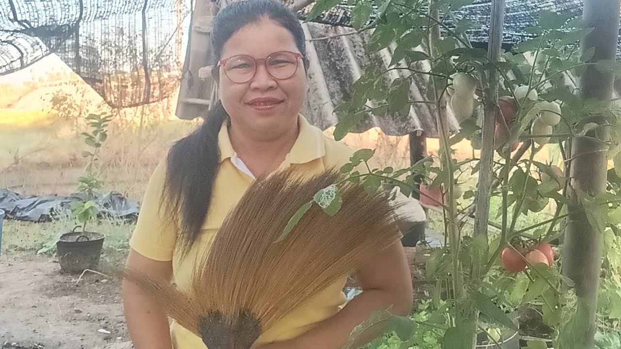 🌅🌅กวาดใบไม้ในสวนผัก🐦🐦🐦